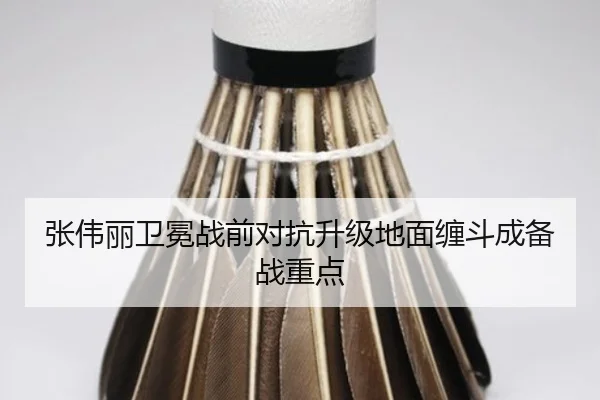 张伟丽卫冕战前对抗升级地面缠斗成备战重点（XINGKONGSPORTS）